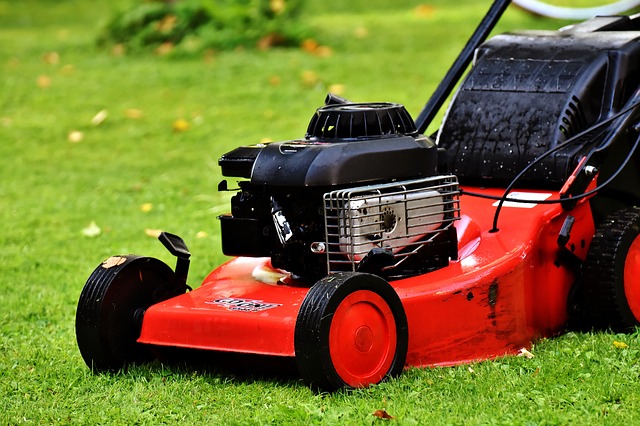 How to Clean Lawn Mower Air Filter