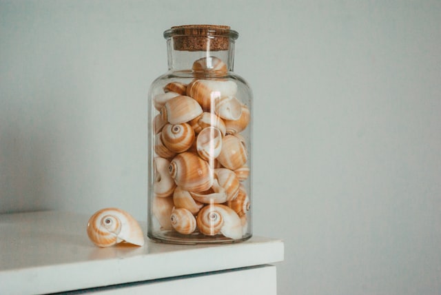 How to Clean Seashells